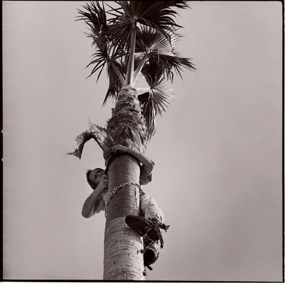 A Career in Leech Farming: Really Odd Jobs