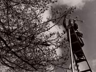 Odd Jobs