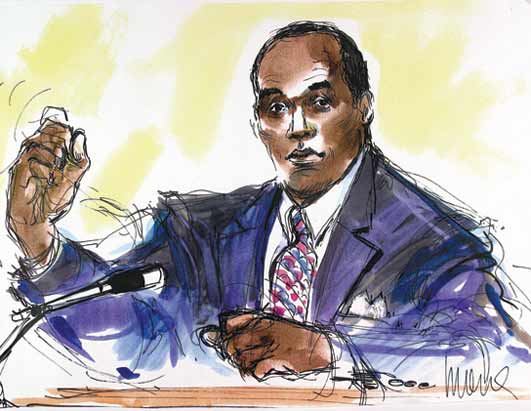 Celebrities in the Courtroom